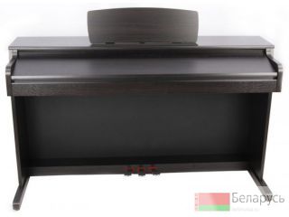   Thomann DP-30 