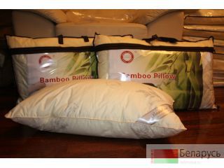      Bamboo 