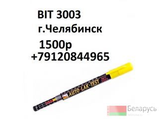  BIT 3003  