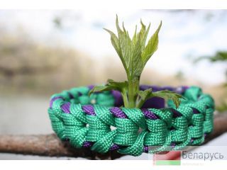   U.S. Military Paracord 550 