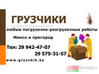   -  29-998-19-36   