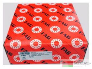   FAG PLC110-190 