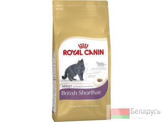    Royal Canin British Shorthair Adult 