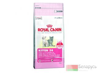    Royal Canin Kitten 