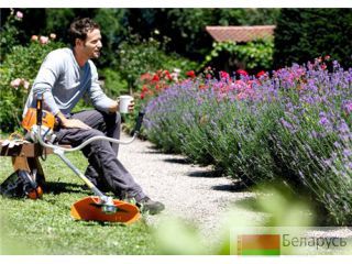   STIHL FS 250 