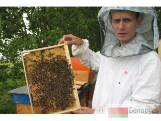 ПЧЕЛОПАКЕТЫ Беларусь, г. Брест