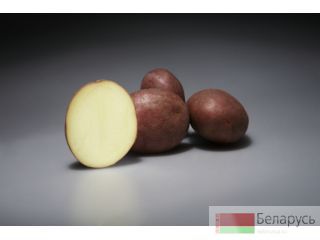     ,  , 