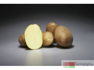     ,  , 