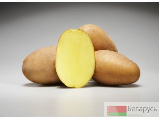    ,  , 