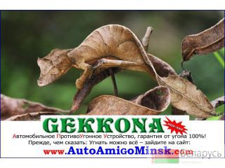  GEKKONA () -  - 