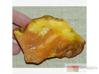 Куплю янтарные бусы, янтарь. Дорого Брест