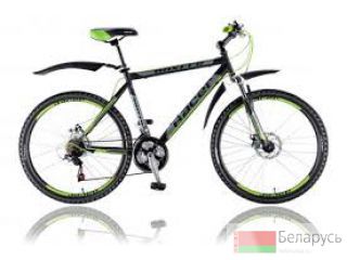  Racer BOXFER D 
