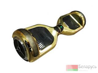  segway 