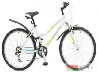   Stinger Latina 26 