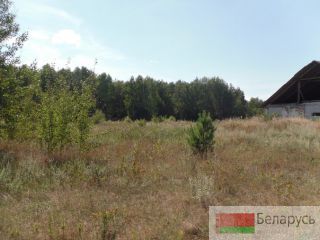 Перспективный участок в Негоничах 4,3 Га (89 км от Минска) Минск