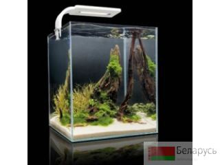    Aquael Shrimp Set 10 SMARTPLANT  