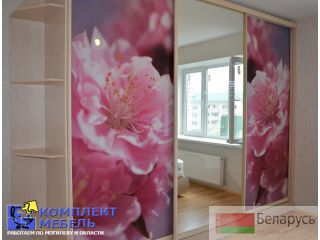 Шкафы купе по Вашим размерам. Фотопечать Могилев