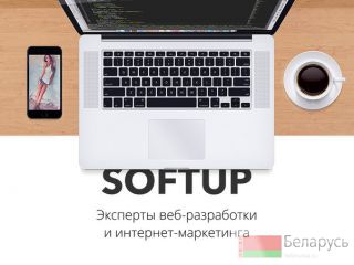  WEB-   .  