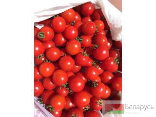 sd19016@yandex.ru 