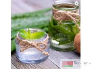 Aloe vera gel   , 10  