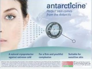  (Antarcticine, ) 