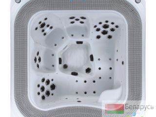   JNJ Spas Lion () 
