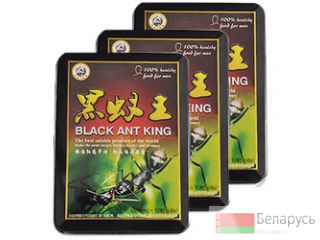 Black ant king 