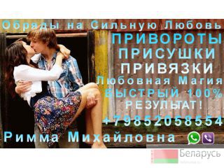    +79852058554 