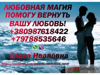   +79788535646 