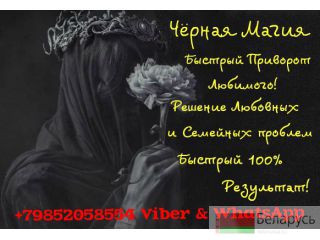 ׸  +79852058554 