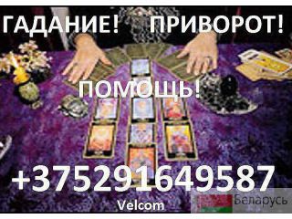    .  , ... minck