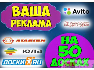     50    