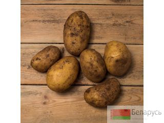 Продам излишки домашнего картофеля в Минске Минск