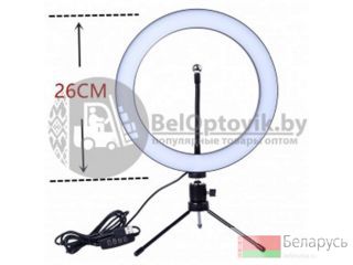 ��������� ������������ ����� ��������� MINI LED 160 d26 ��  ������ �����