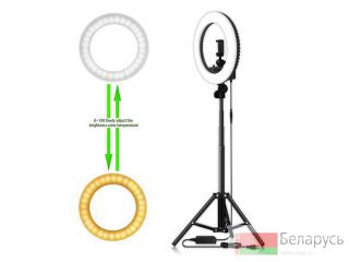    2,1 LED RING 336 , d335      