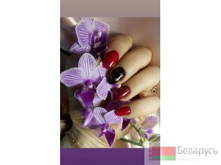    gomel