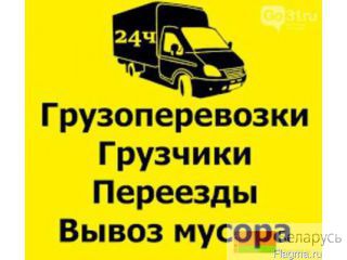 , ,  . . 80298801658   