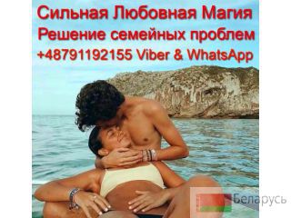    +48791192155 