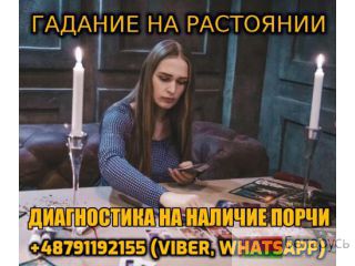    +48791192155 