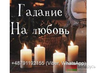    +48791192155 