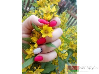    gomel