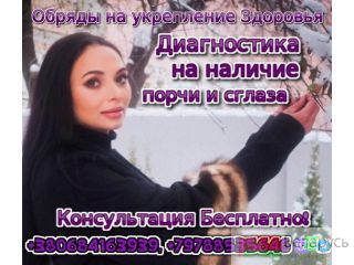    +79788535646 