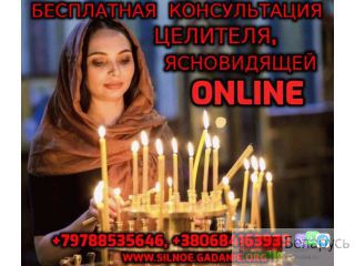   ,  +79788535646 