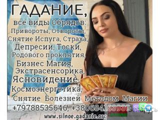   +79788535646 