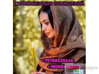   +79788535646 