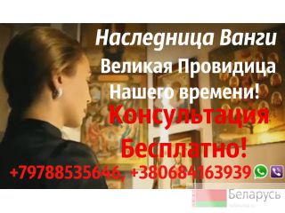   +79788535646 