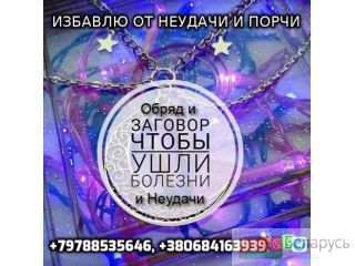     +79788535646 