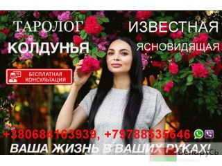    +79788535646 