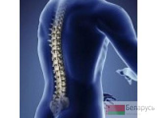     . . 8(033)6048301  