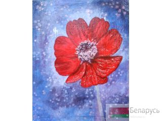   Cosmos 